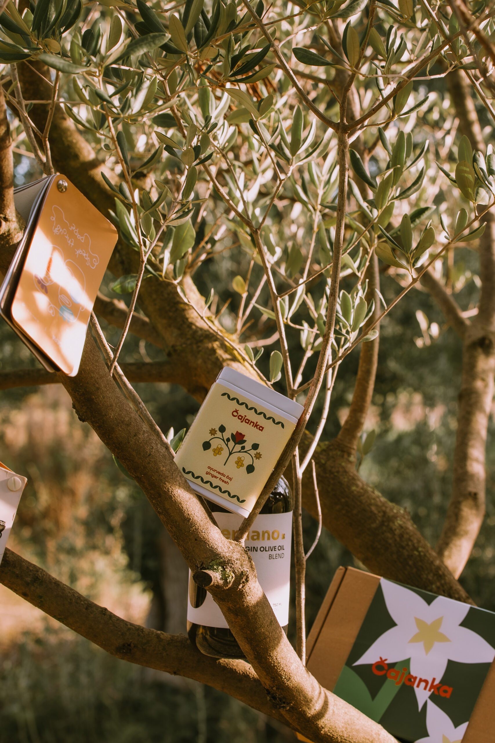 tea packaging by cpg packaging designer Studio Stoked